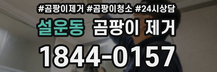 설운동 곰팡이 제거