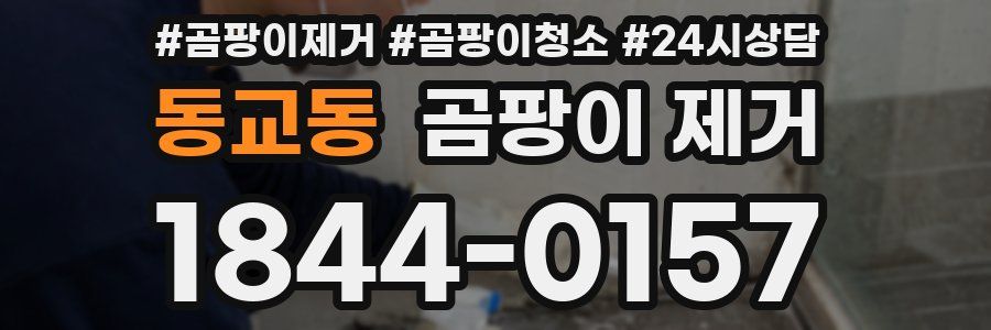 동교동 곰팡이 제거