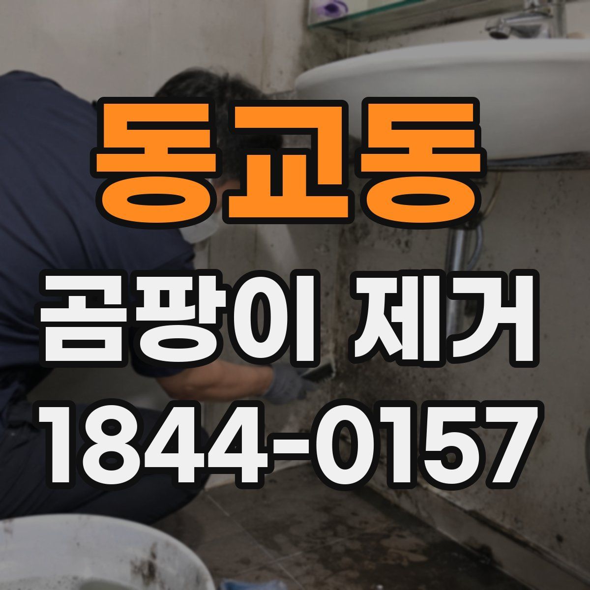 동교동 곰팡이 제거