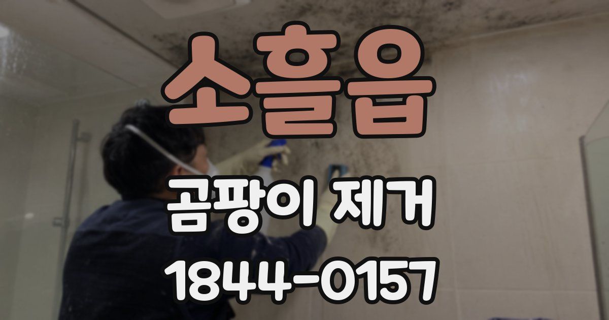 소흘읍 곰팡이 제거