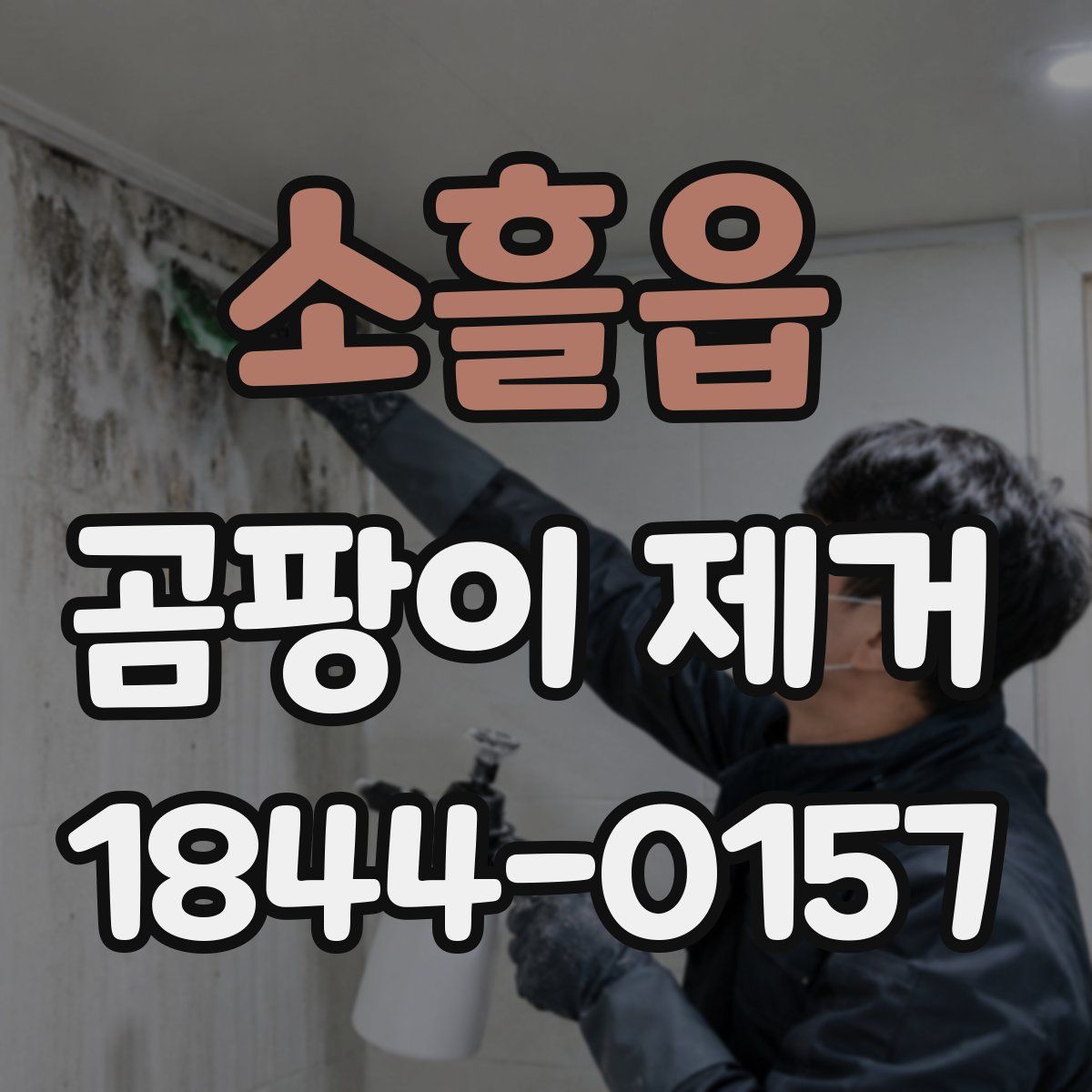 소흘읍 곰팡이 제거