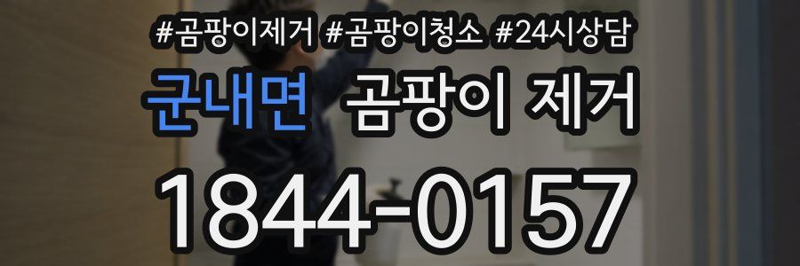 군내면 곰팡이 제거