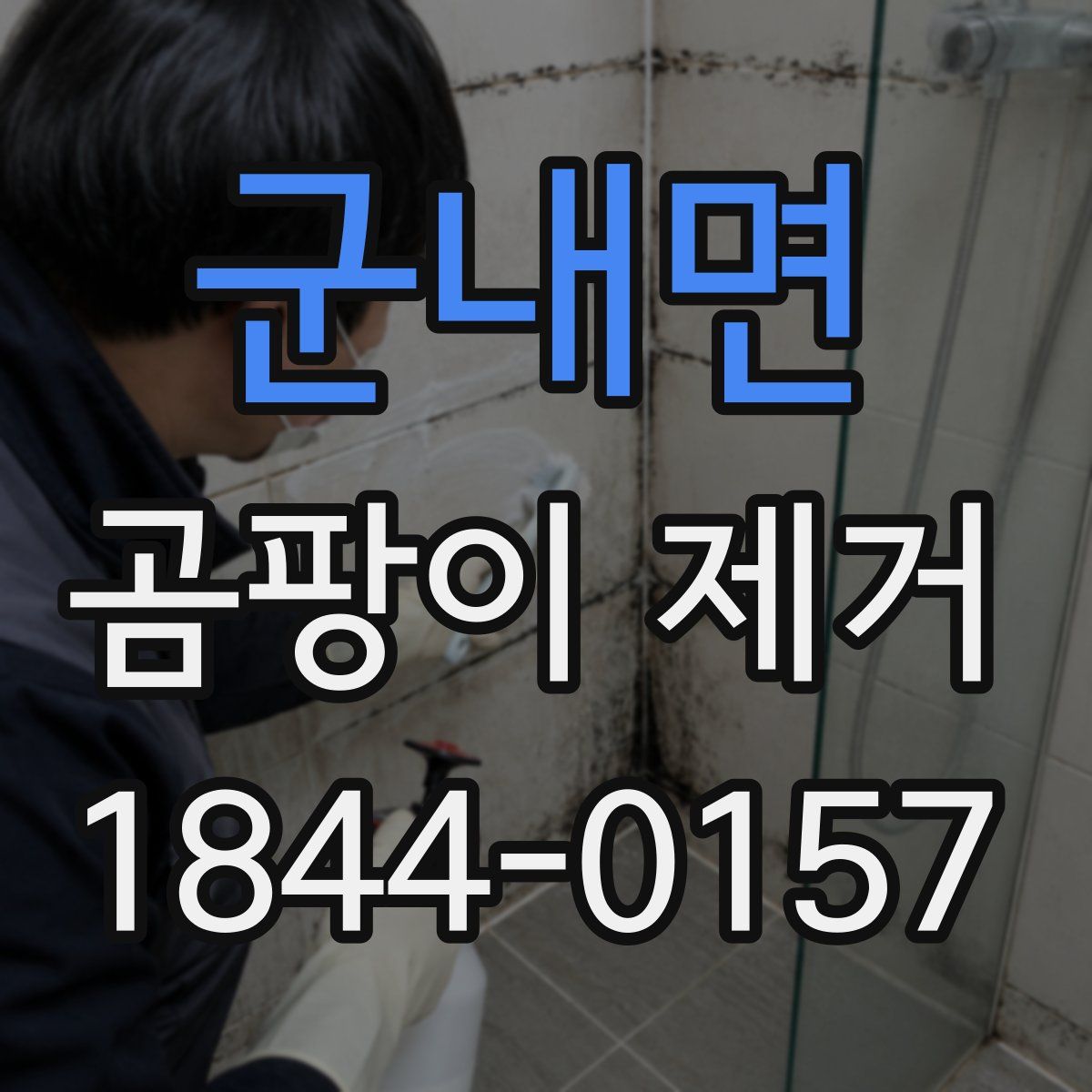 군내면 곰팡이 제거
