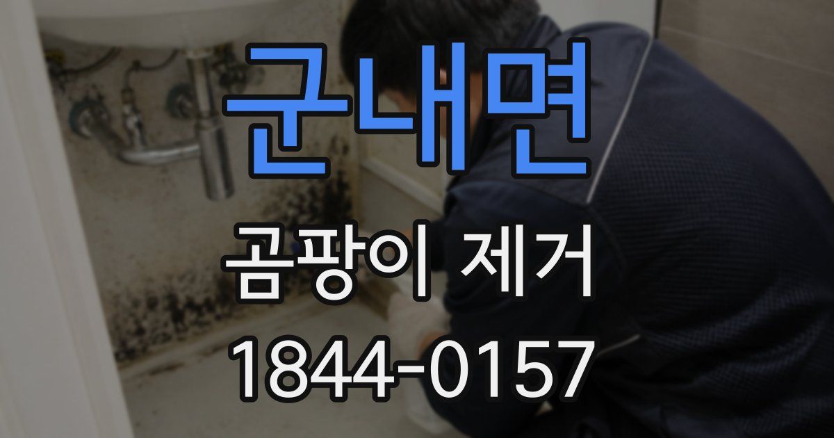 군내면 곰팡이 제거