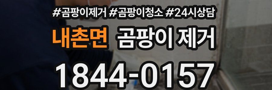 내촌면 곰팡이 제거