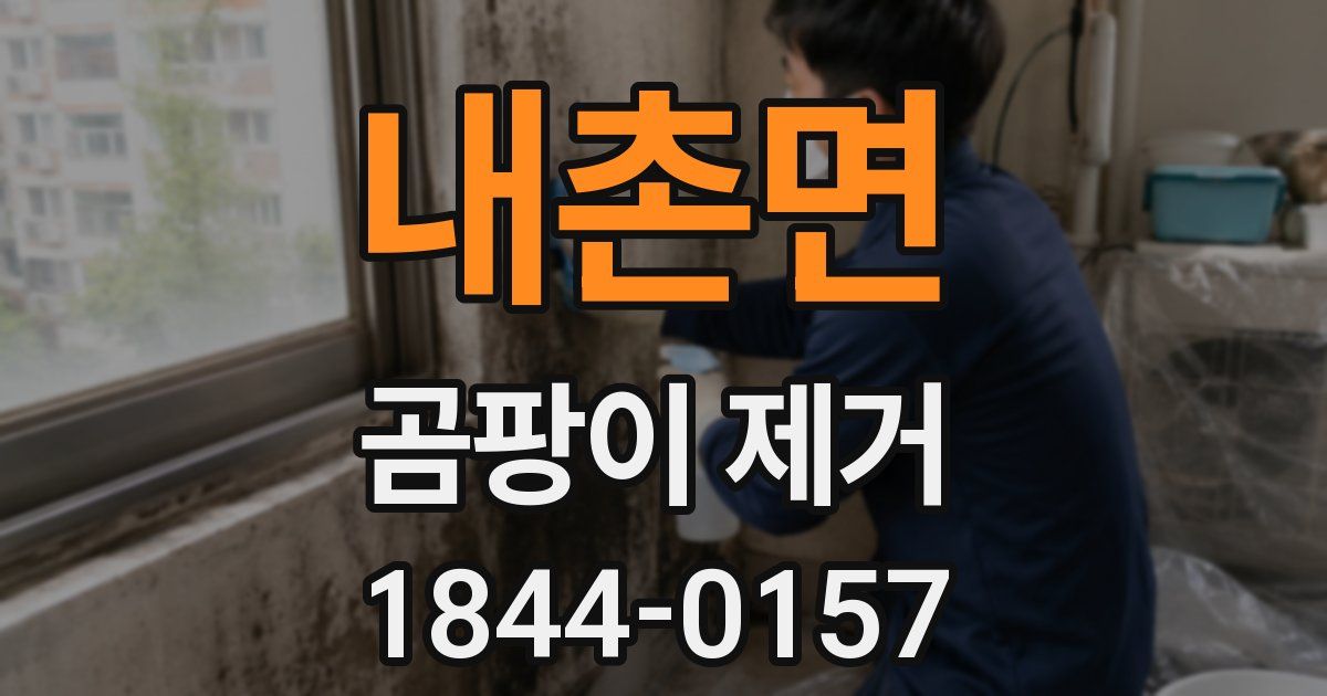내촌면 곰팡이 제거