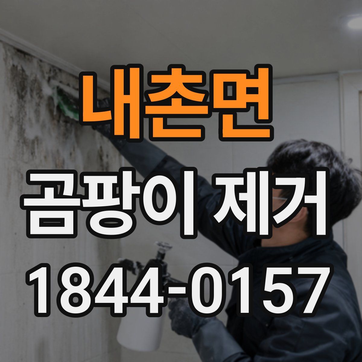 내촌면 곰팡이 제거