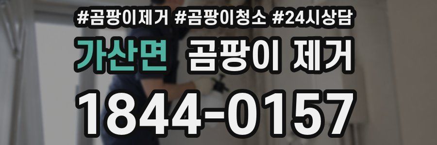 가산면 곰팡이 제거