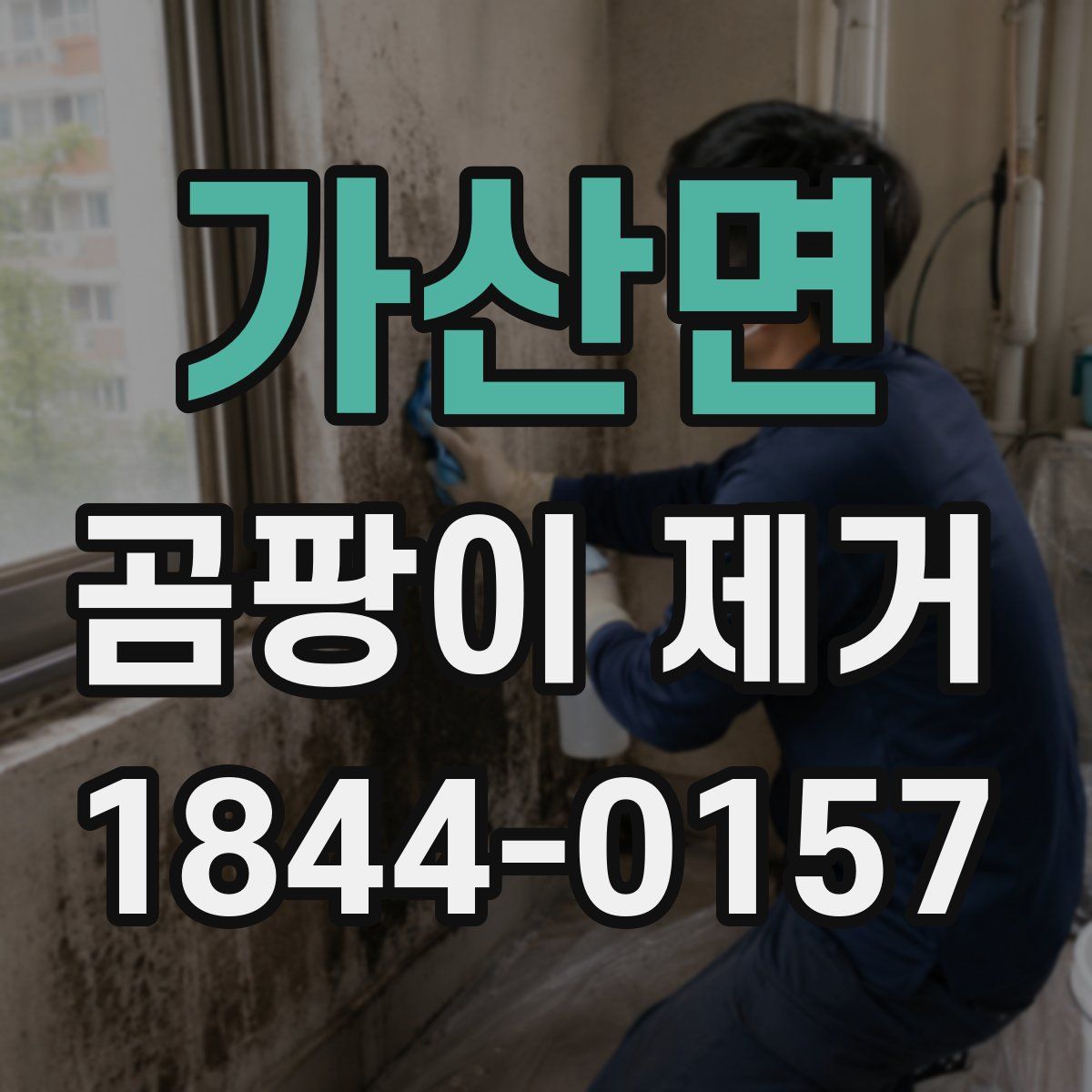 가산면 곰팡이 제거