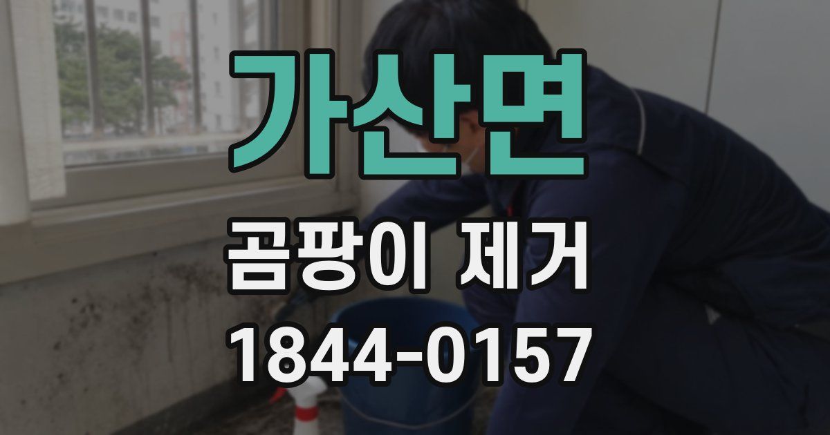 가산면 곰팡이 제거