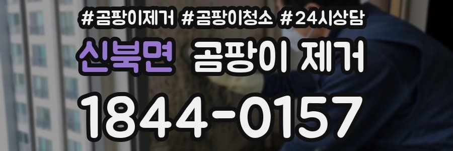 신북면 곰팡이 제거