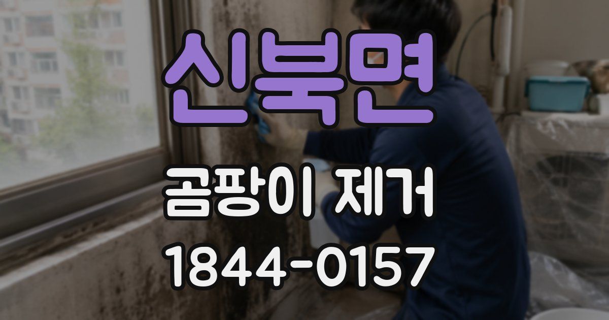 신북면 곰팡이 제거