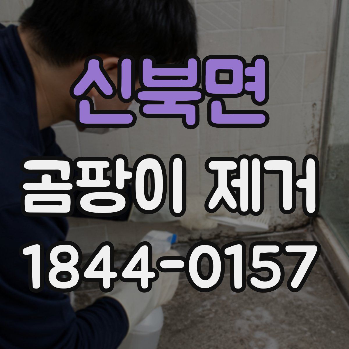 신북면 곰팡이 제거