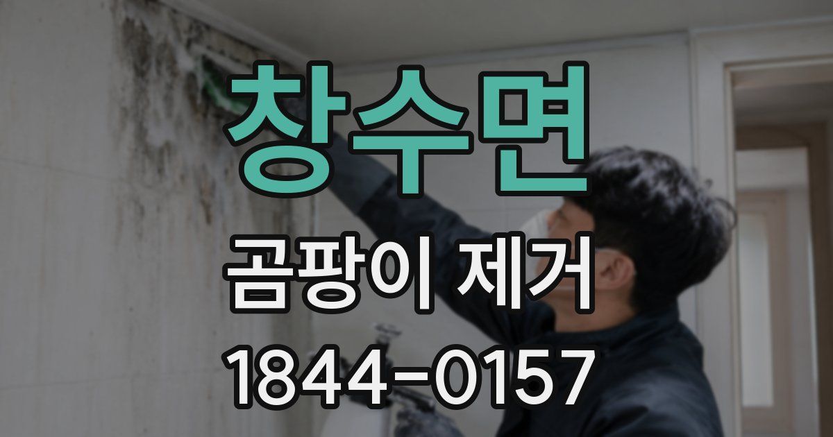 창수면 곰팡이 제거
