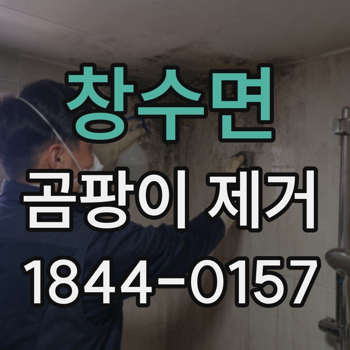 창수면 곰팡이 제거