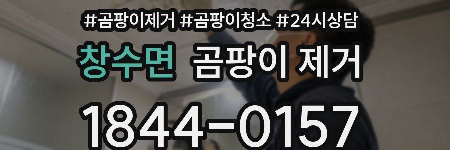 창수면 곰팡이 제거