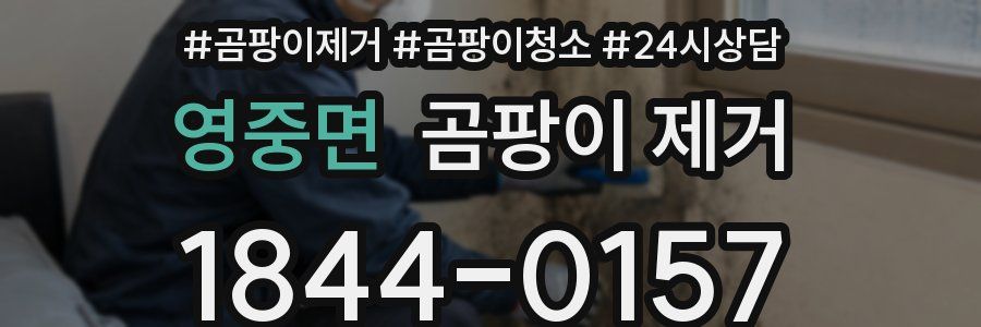 영중면 곰팡이 제거