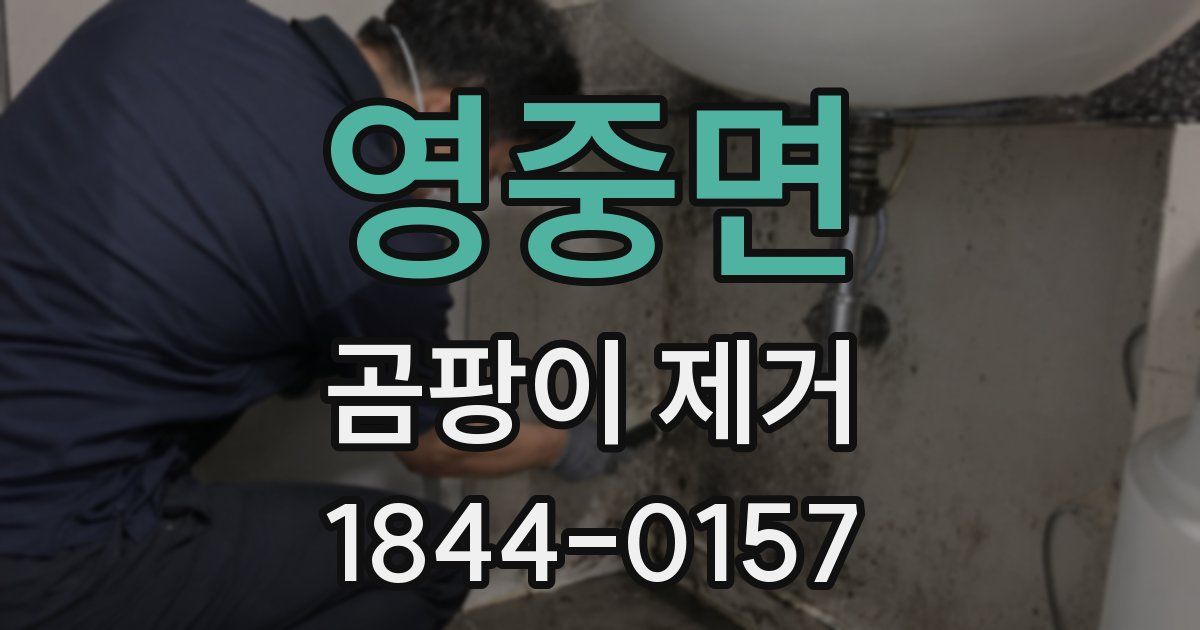 영중면 곰팡이 제거