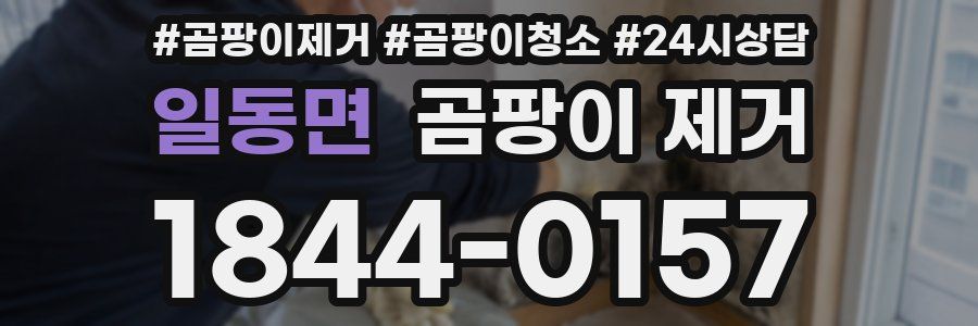 일동면 곰팡이 제거