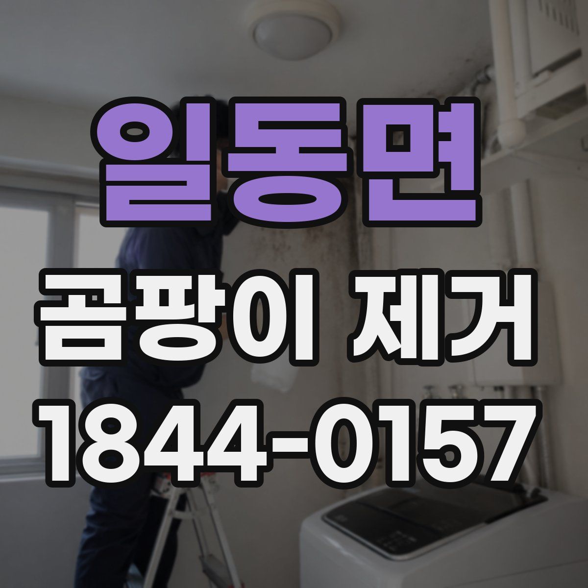 일동면 곰팡이 제거