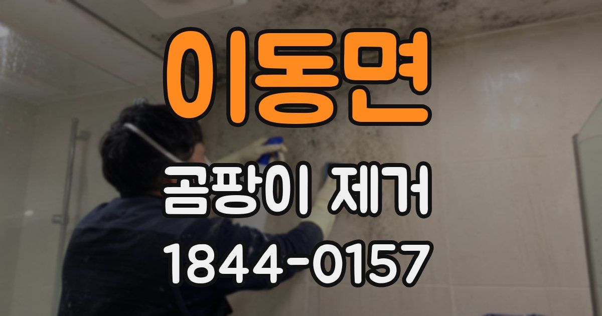 이동면 곰팡이 제거