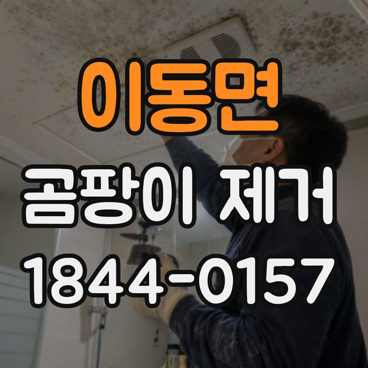 이동면 곰팡이 제거
