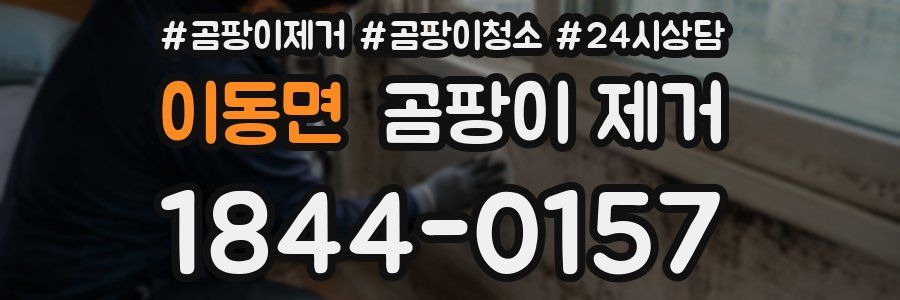 이동면 곰팡이 제거