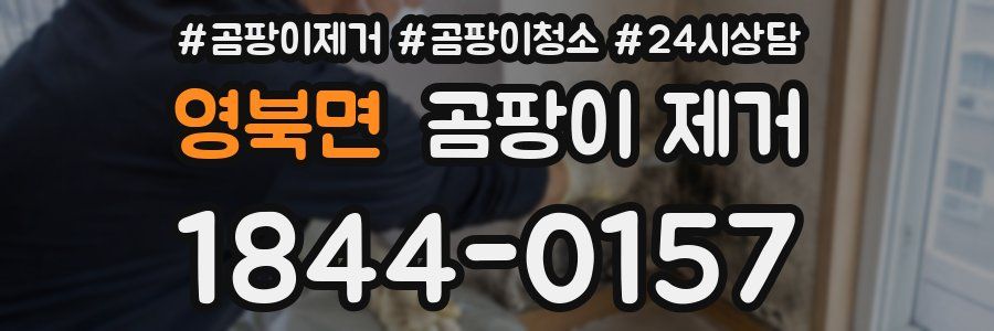 영북면 곰팡이 제거