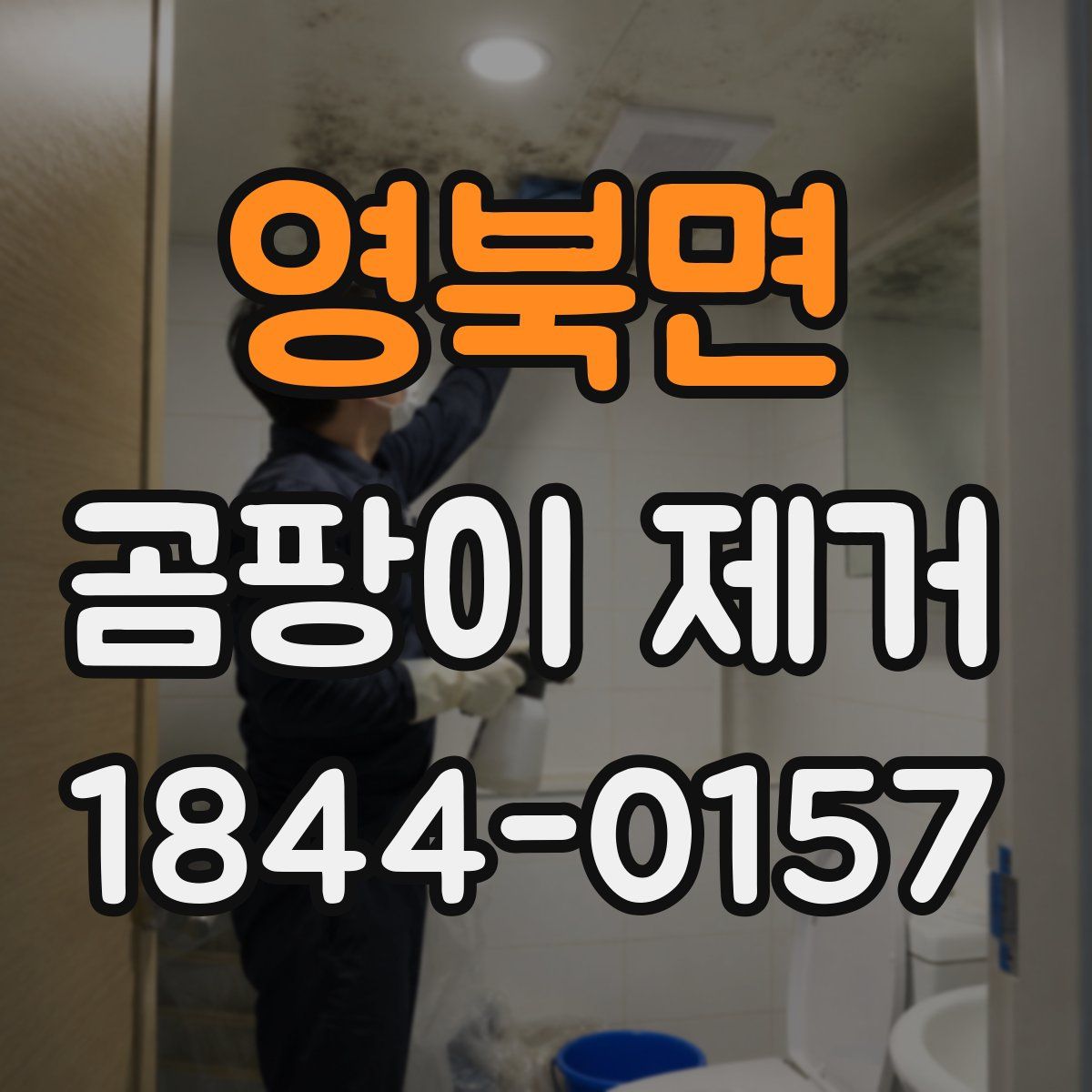 영북면 곰팡이 제거