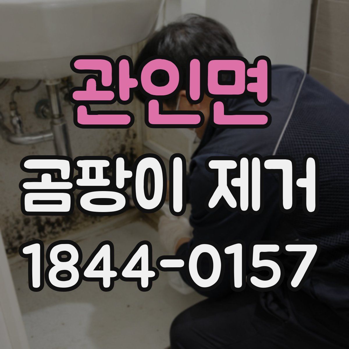 관인면 곰팡이 제거