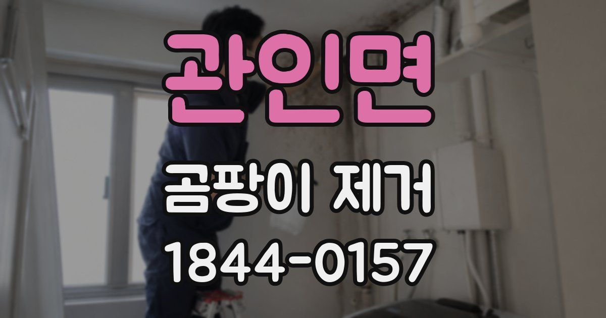 관인면 곰팡이 제거