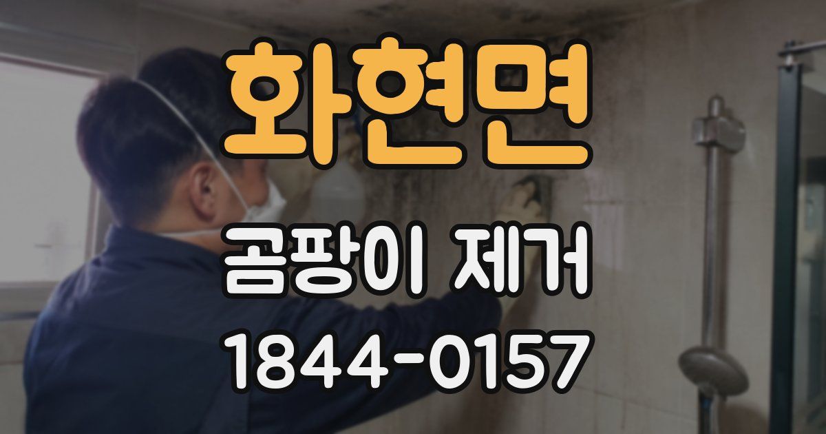 화현면 곰팡이 제거