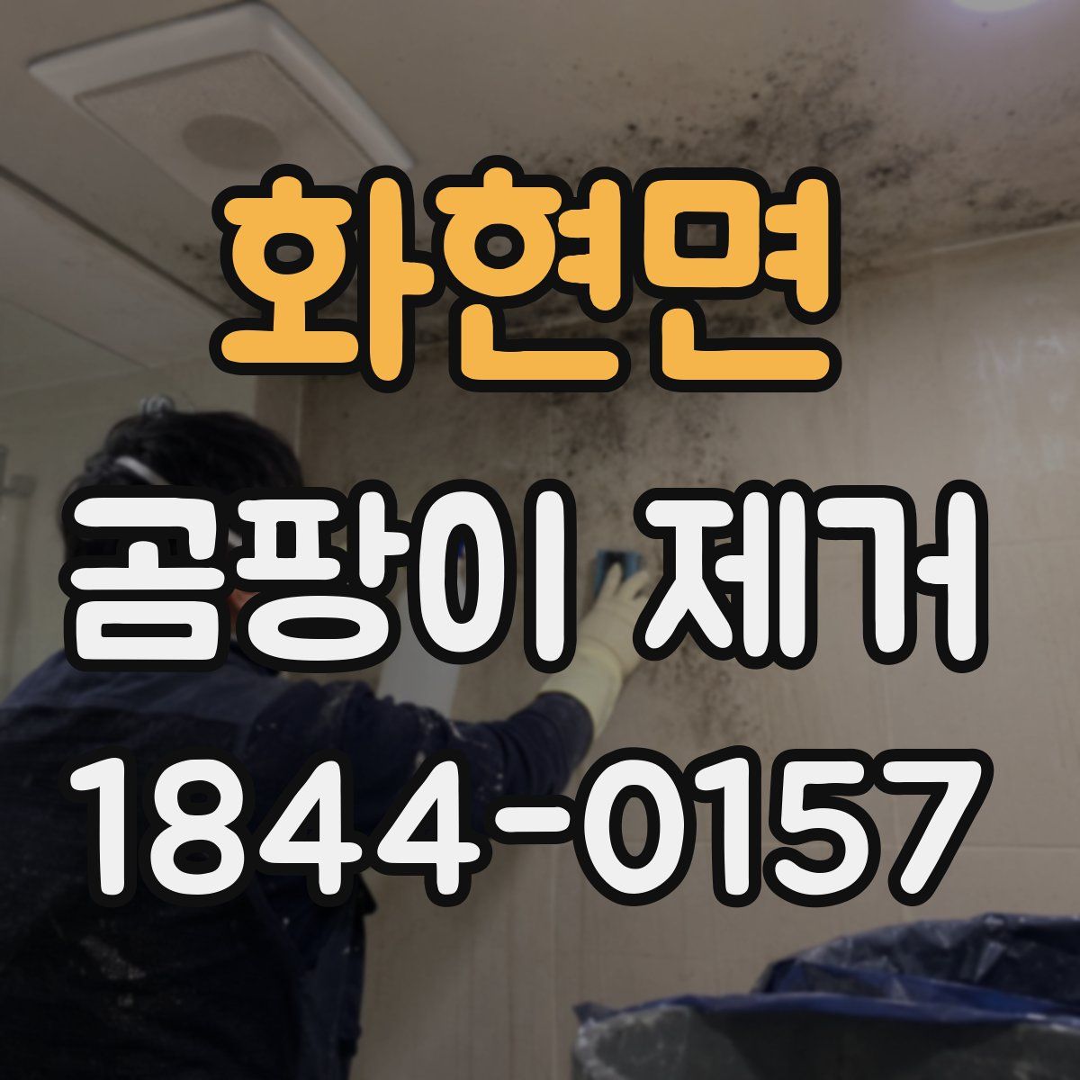 화현면 곰팡이 제거