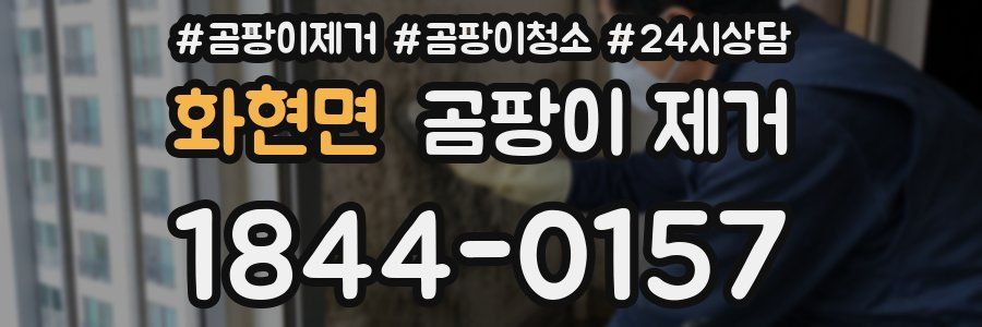 화현면 곰팡이 제거