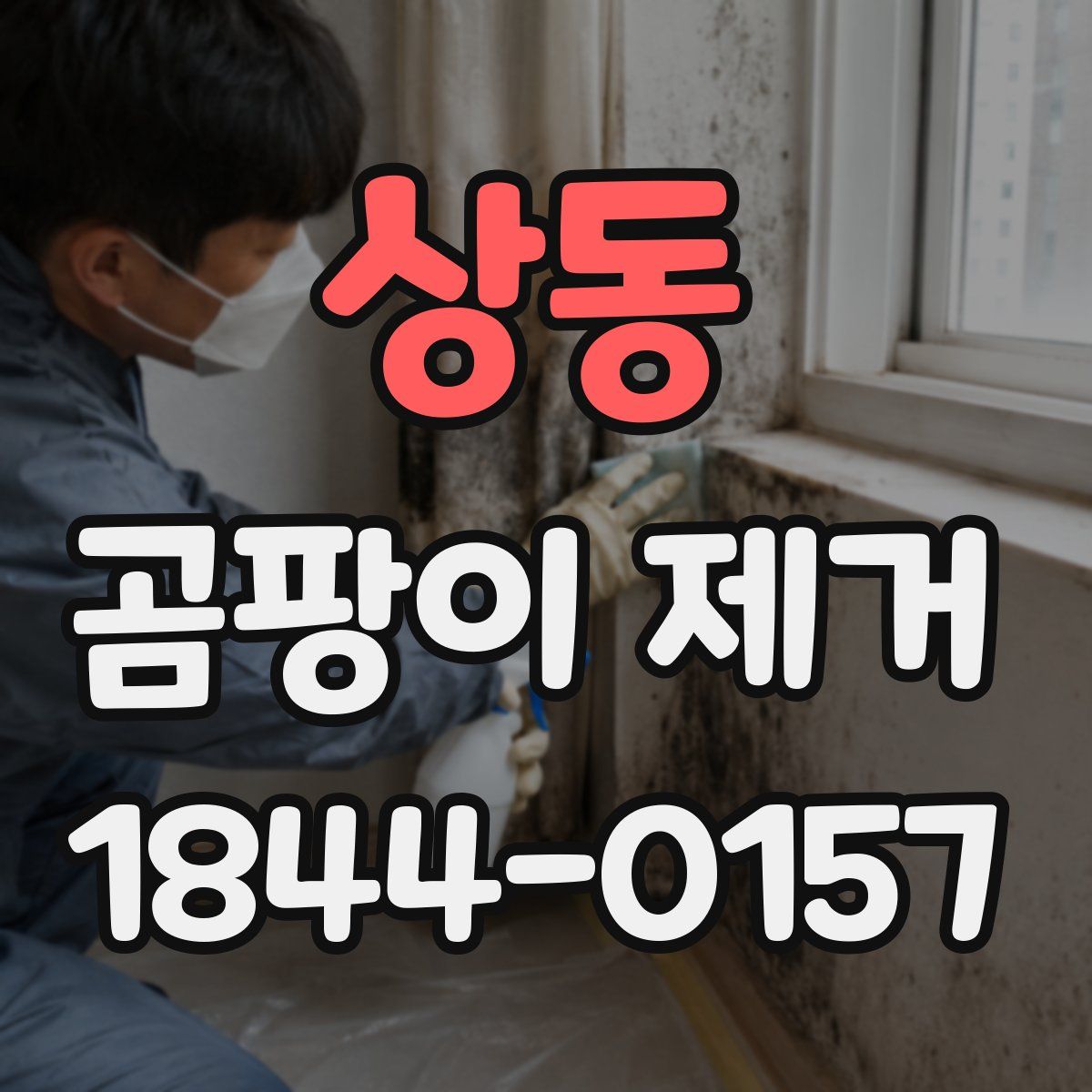 상동 곰팡이 제거