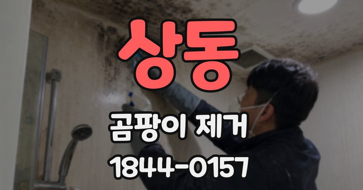 상동 곰팡이 제거