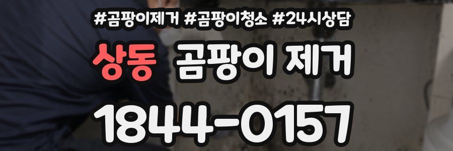 상동 곰팡이 제거