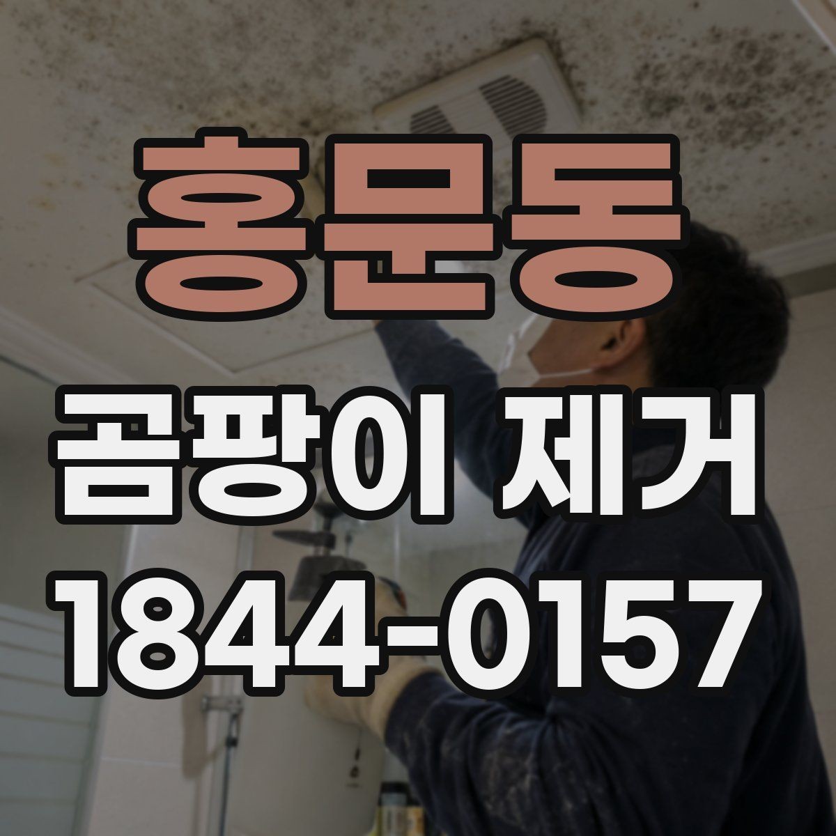 홍문동 곰팡이 제거 알레르기 걱정될 때 알아둘 대처 방법