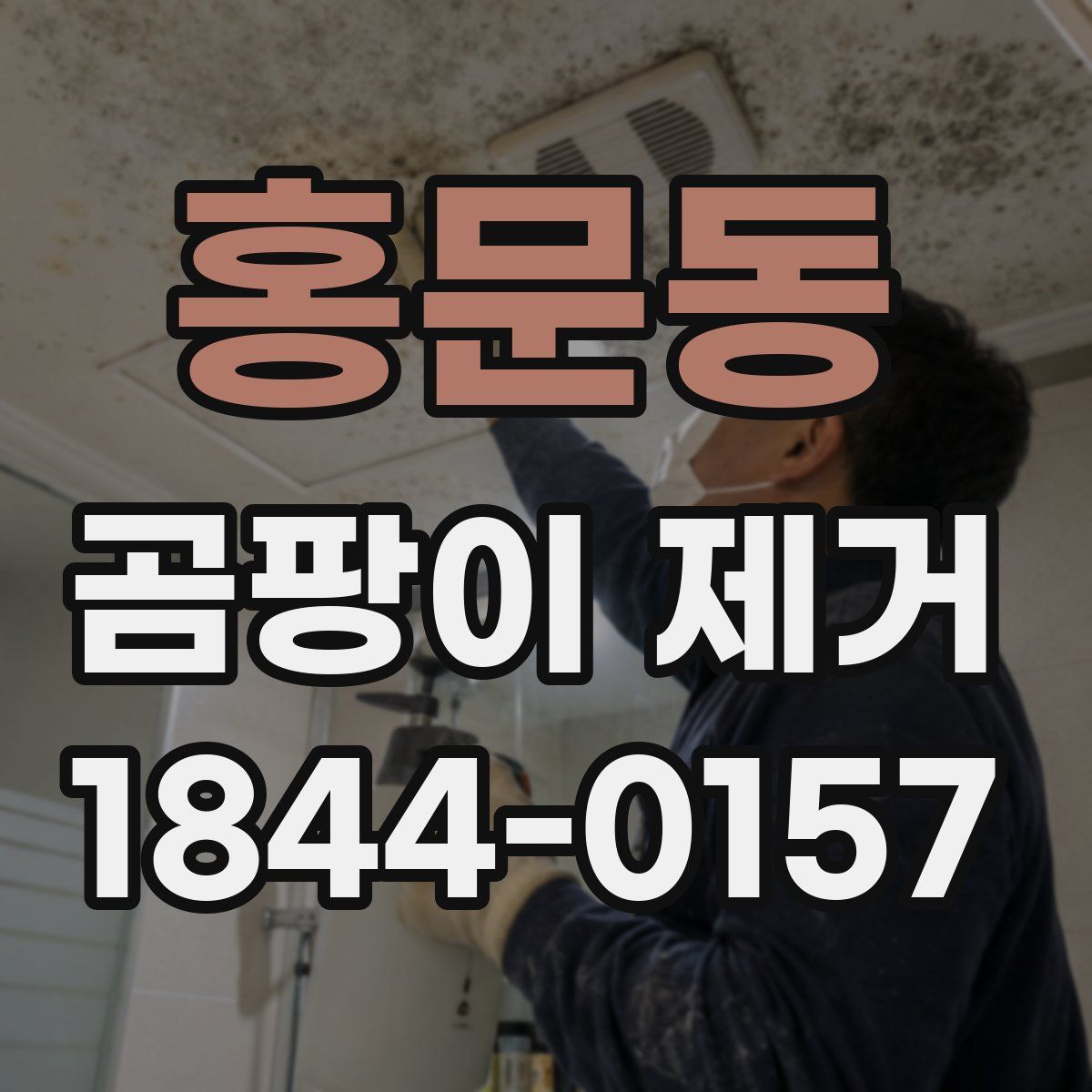 홍문동 곰팡이 제거