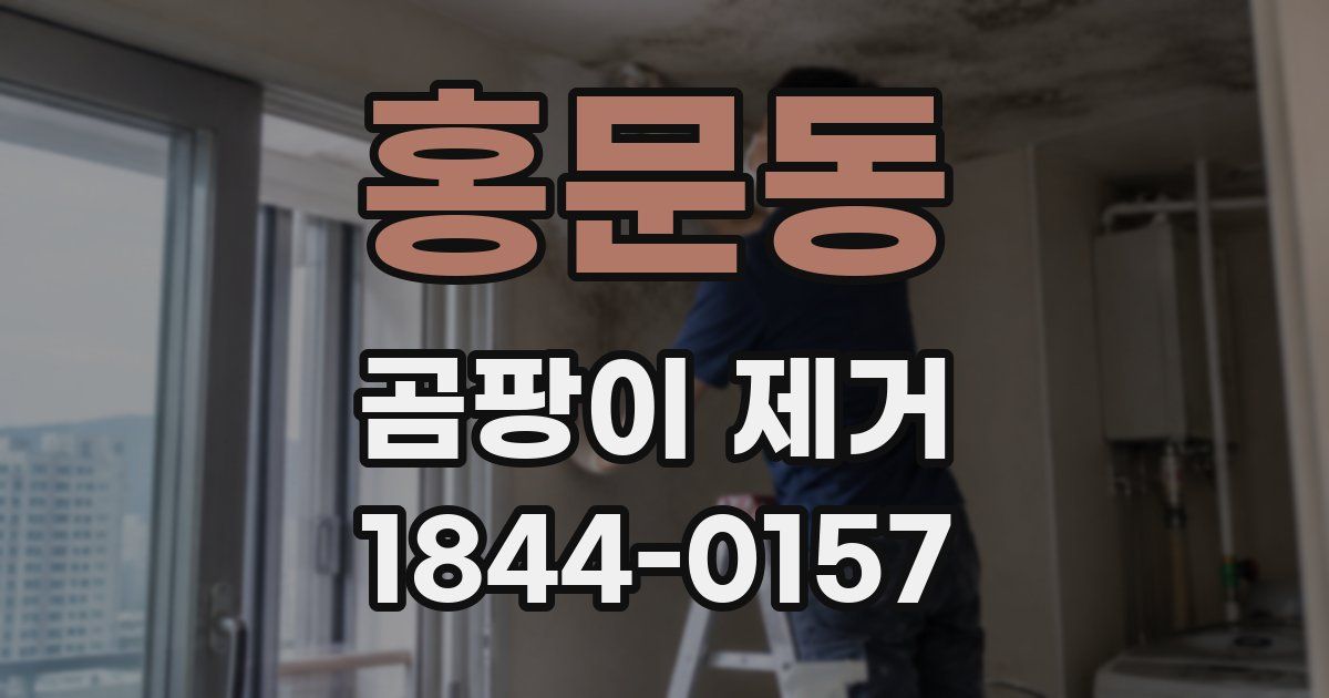 홍문동 곰팡이 제거