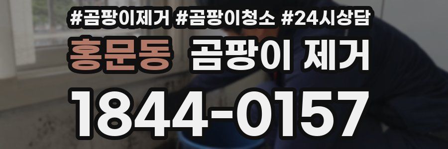 홍문동 곰팡이 제거