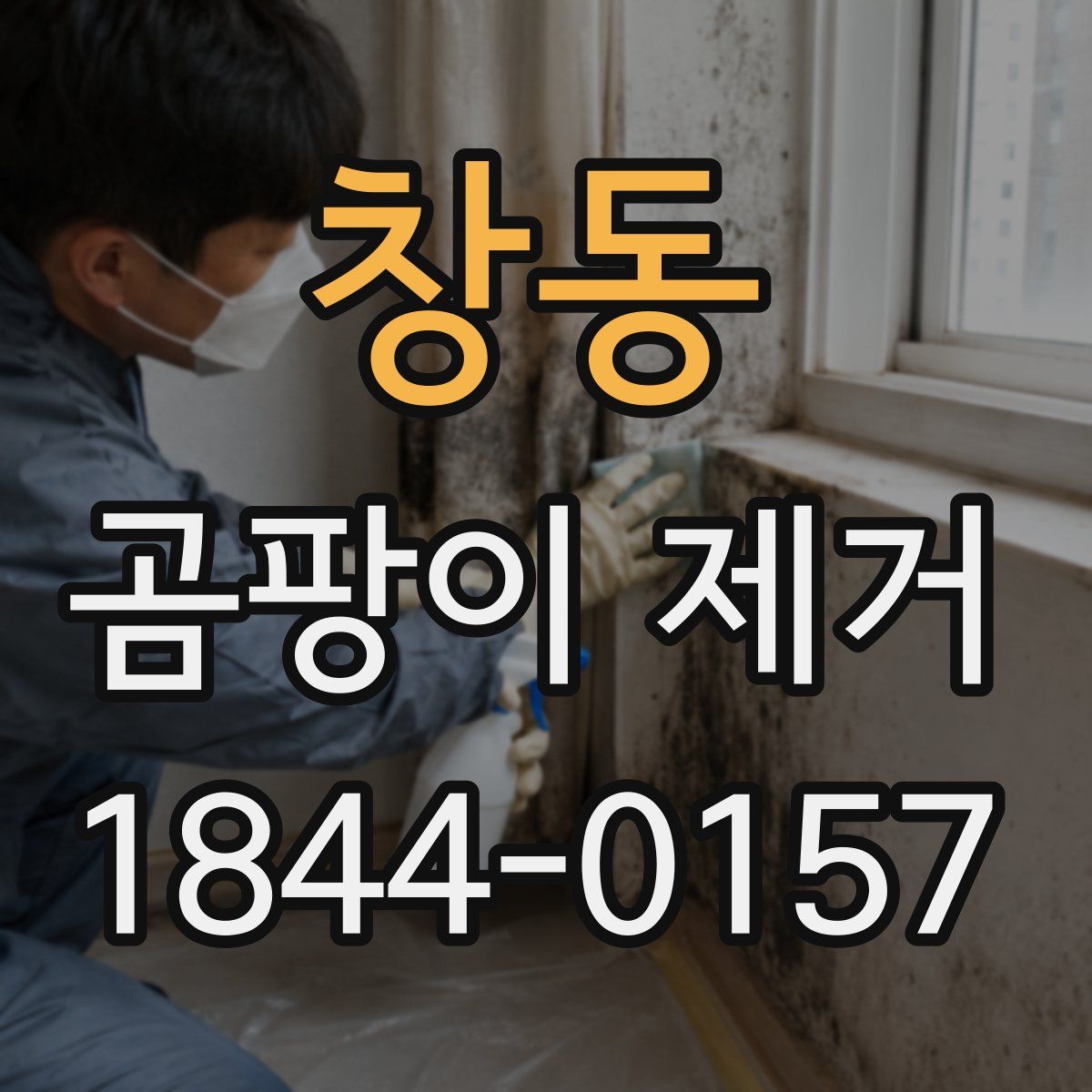 창동 곰팡이 제거