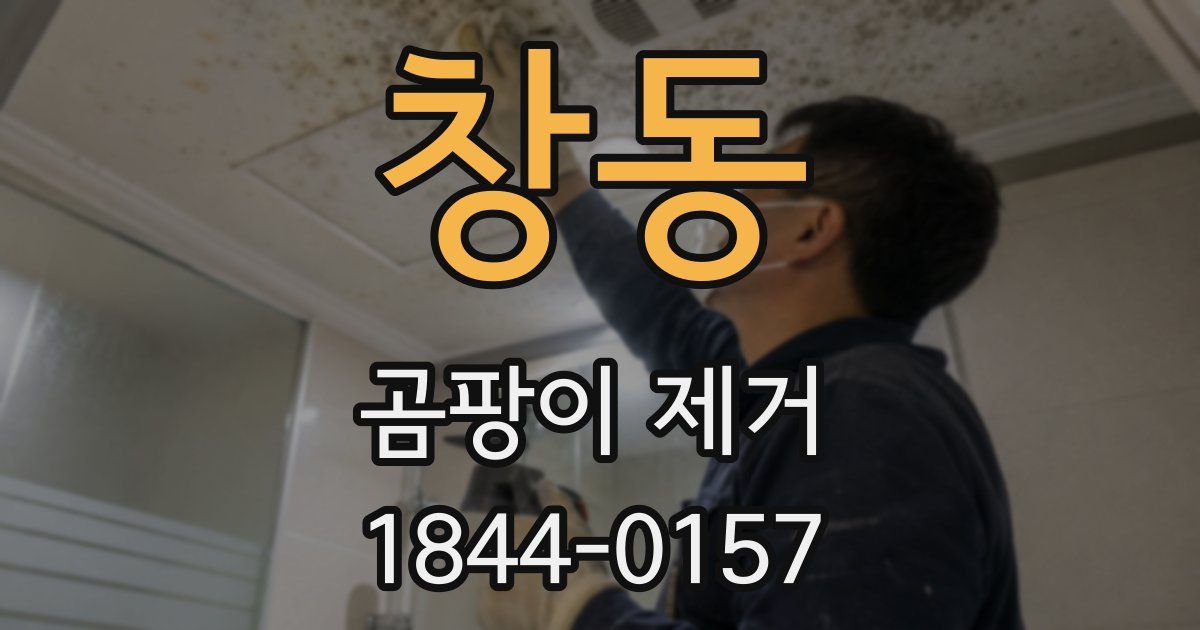 창동 곰팡이 제거