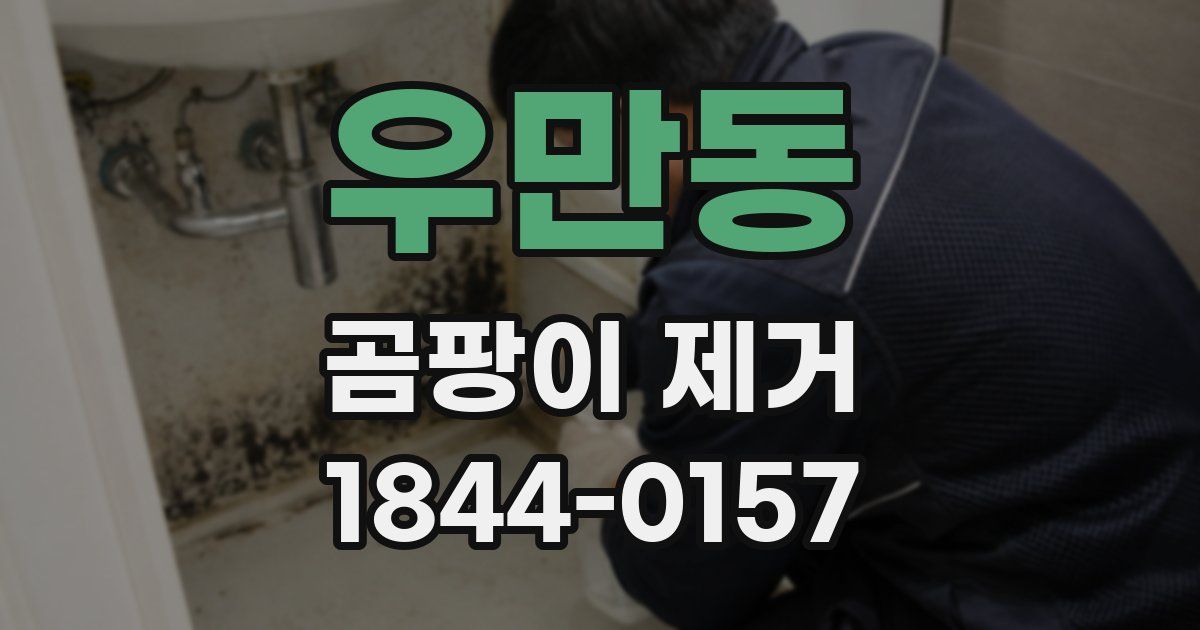 우만동 곰팡이 제거