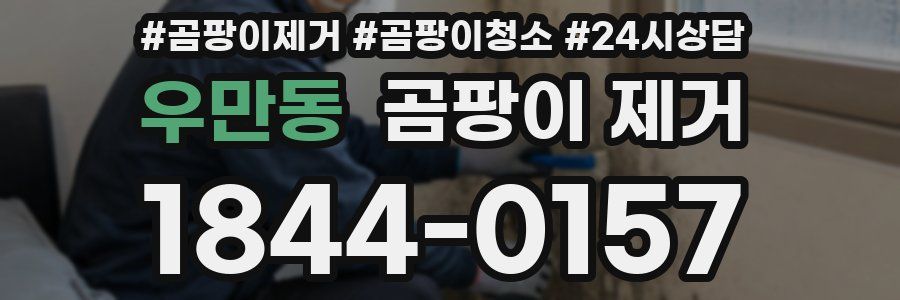 우만동 곰팡이 제거