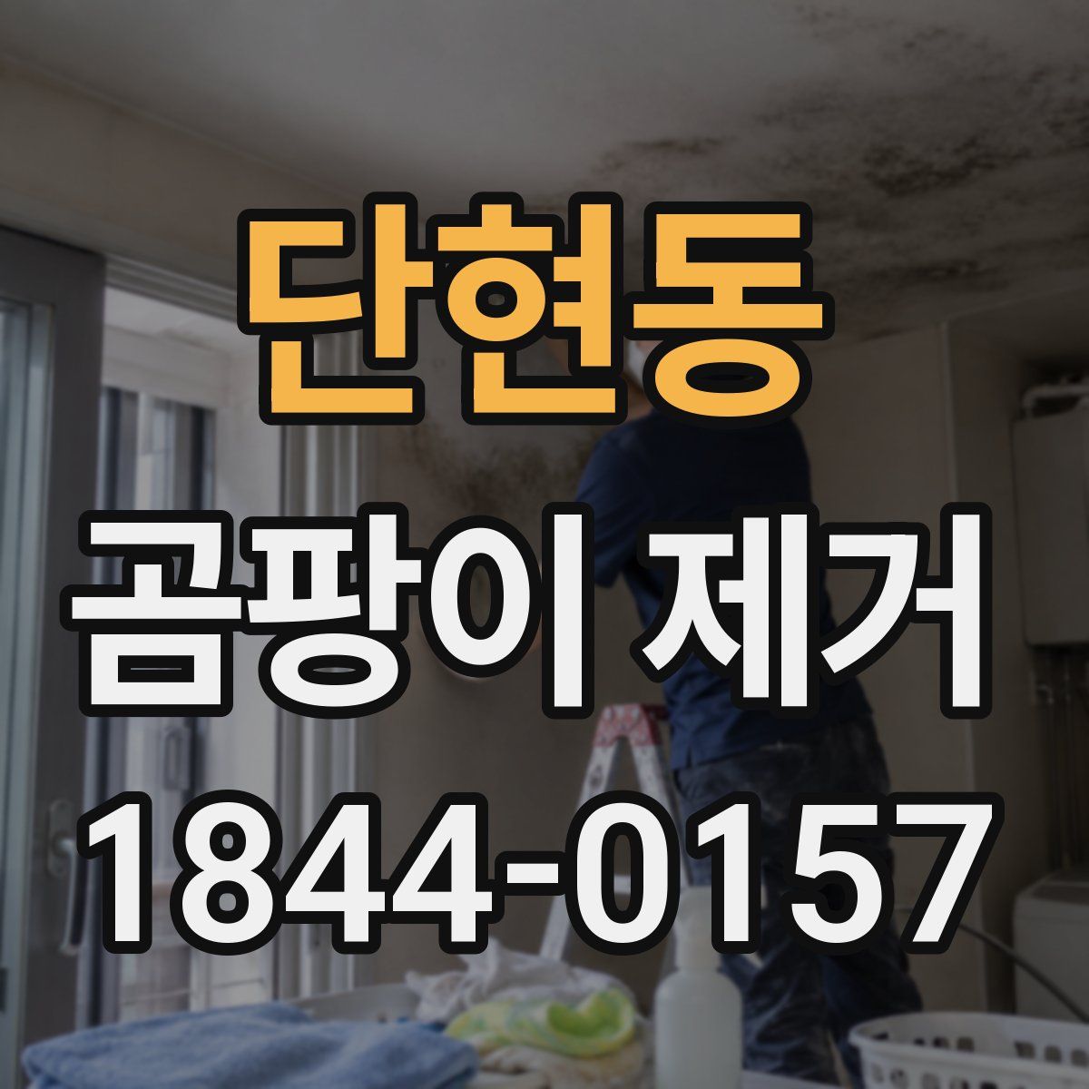 단현동 곰팡이 제거