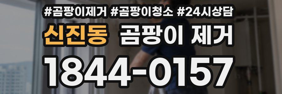 신진동 곰팡이 제거