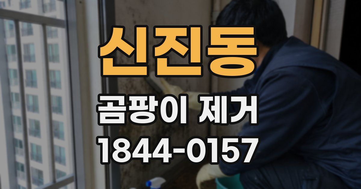 신진동 곰팡이 제거