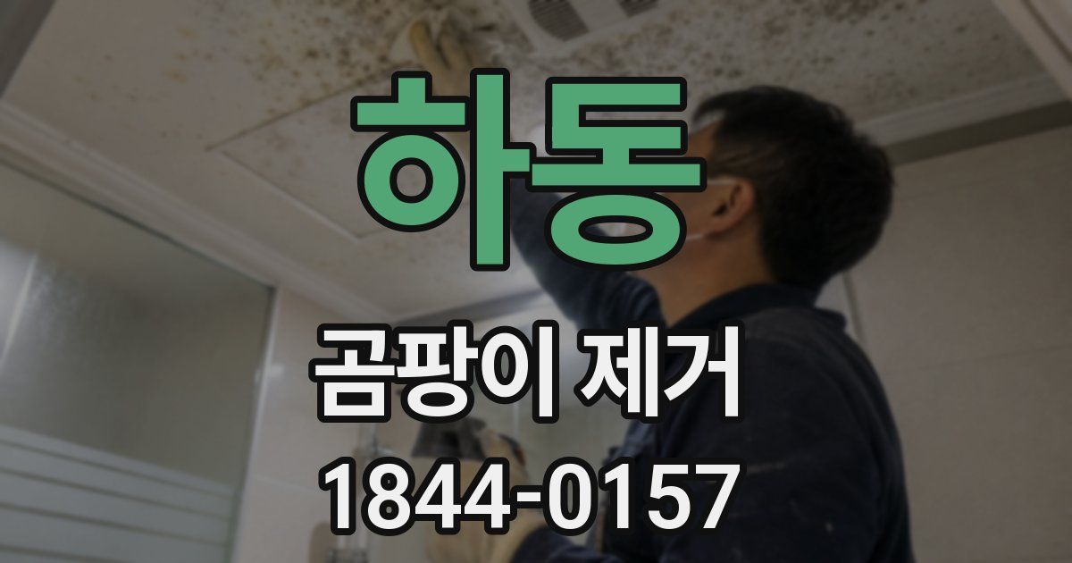 하동 곰팡이 제거