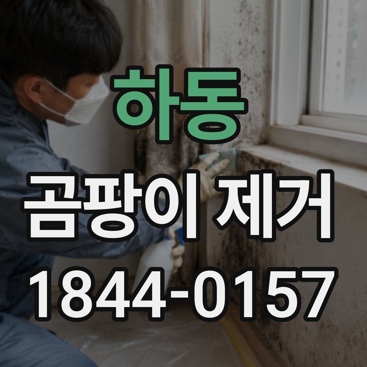하동 곰팡이 제거